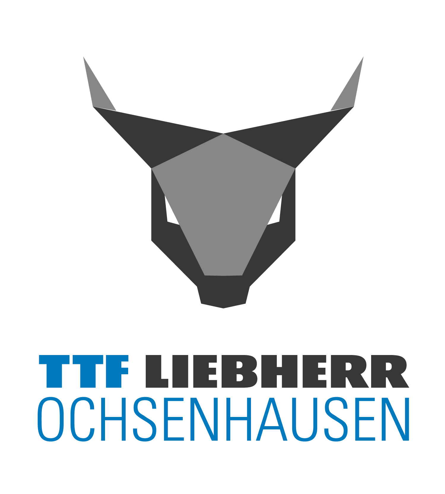 Team Image TTF Liebherr Ochsenhausen